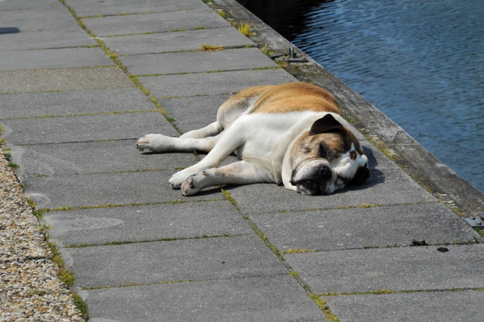 De Hoek Watersport