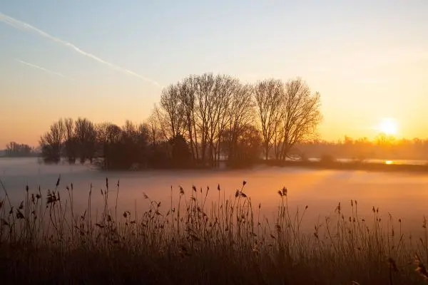 Last minute tijd over? Ga met vrienden op een rondvaartboot in de Biesbosch!