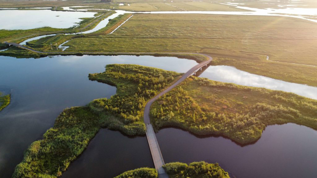 rondvaart-in-de-Biesbosch